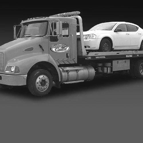 Auto Gator buys cars for cash