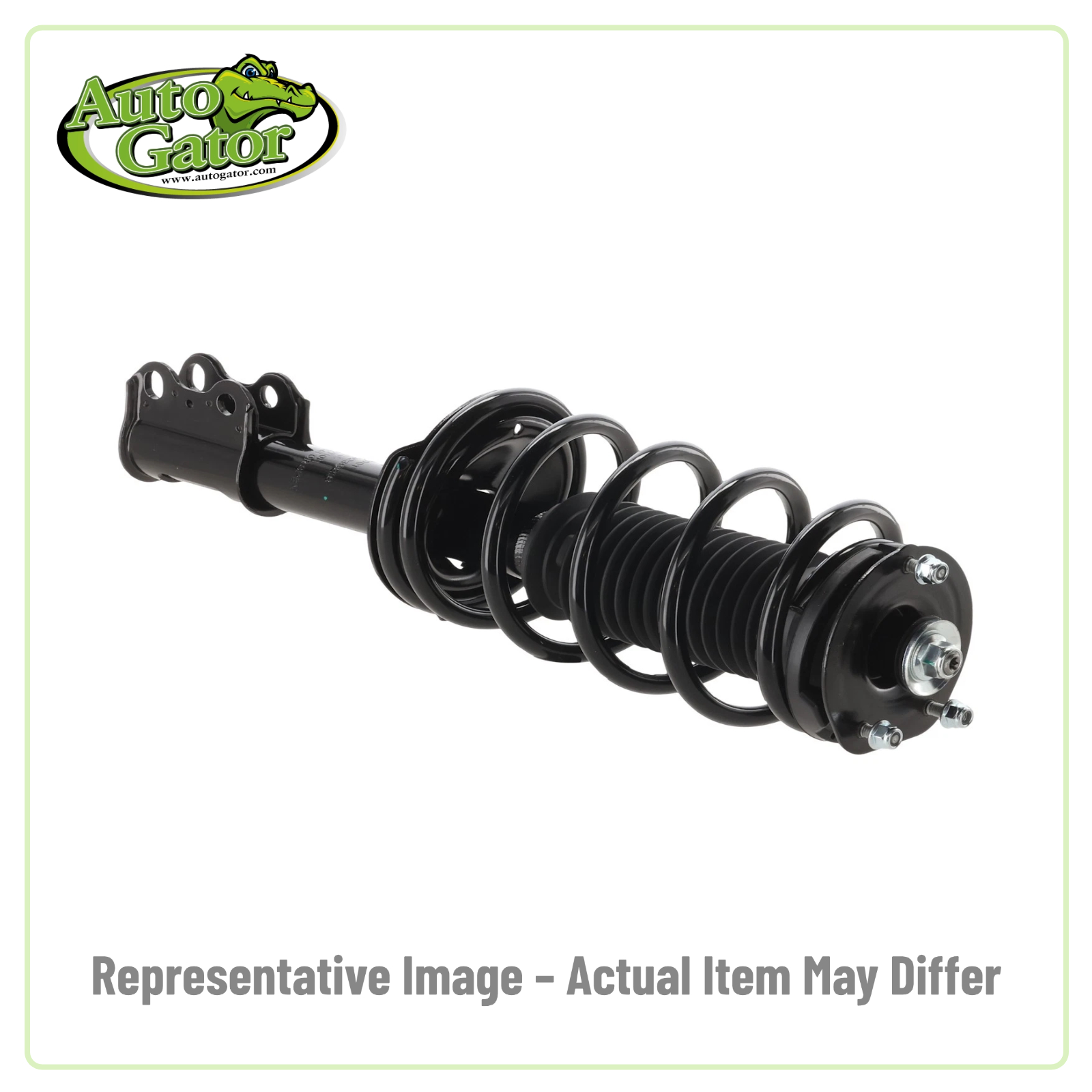 Strut Assembly -- representative image