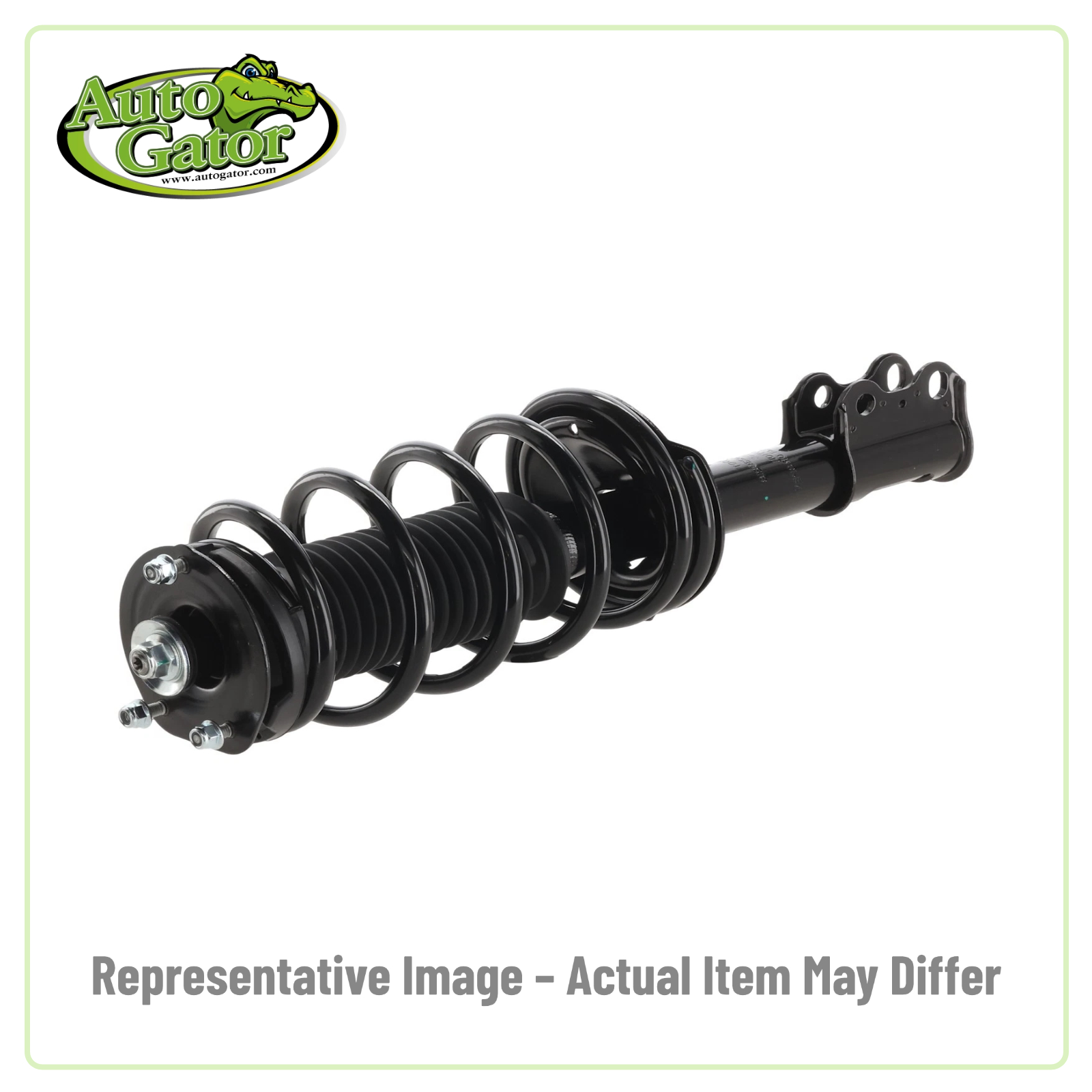 Strut Assembly -- representative image