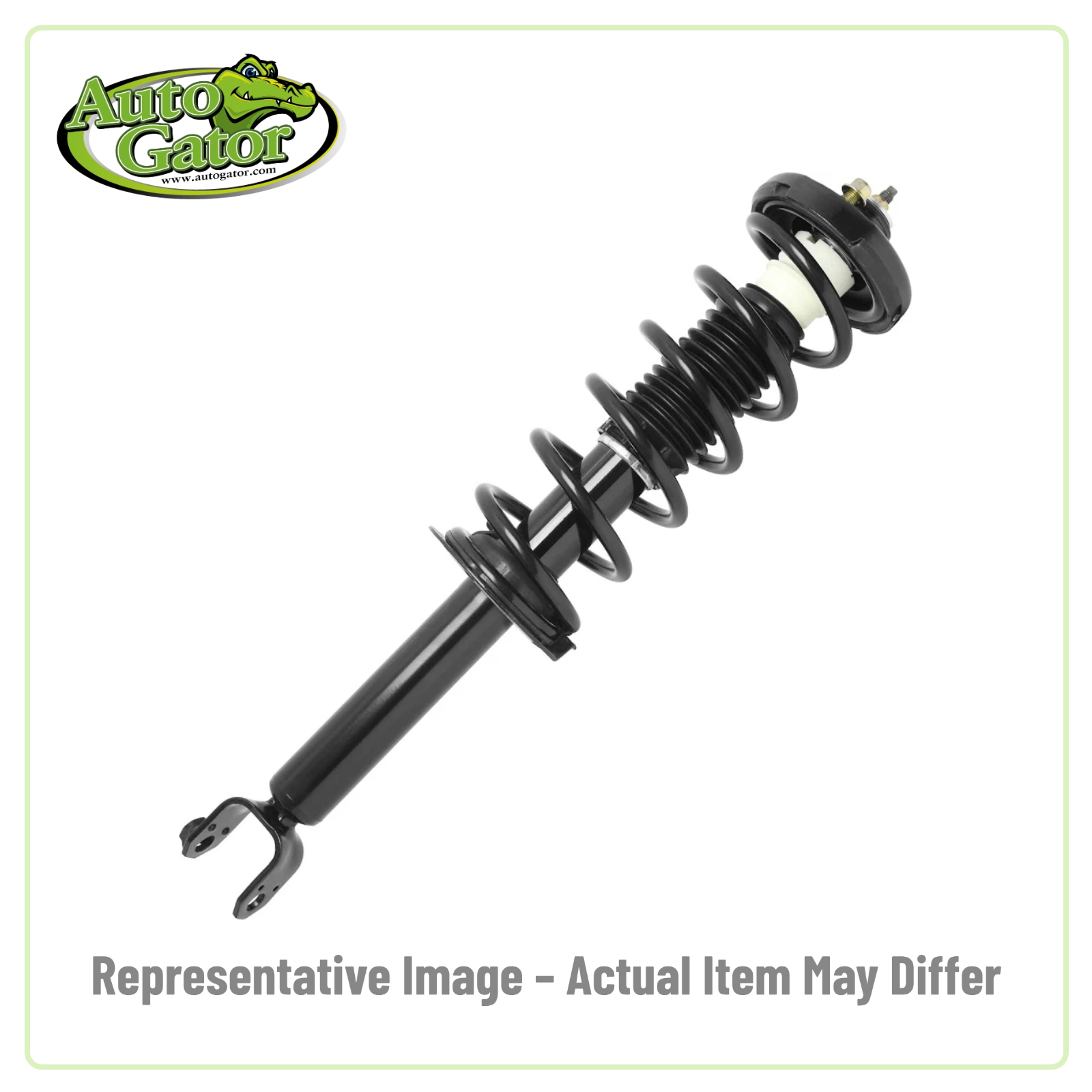 Strut Assembly -- representative image