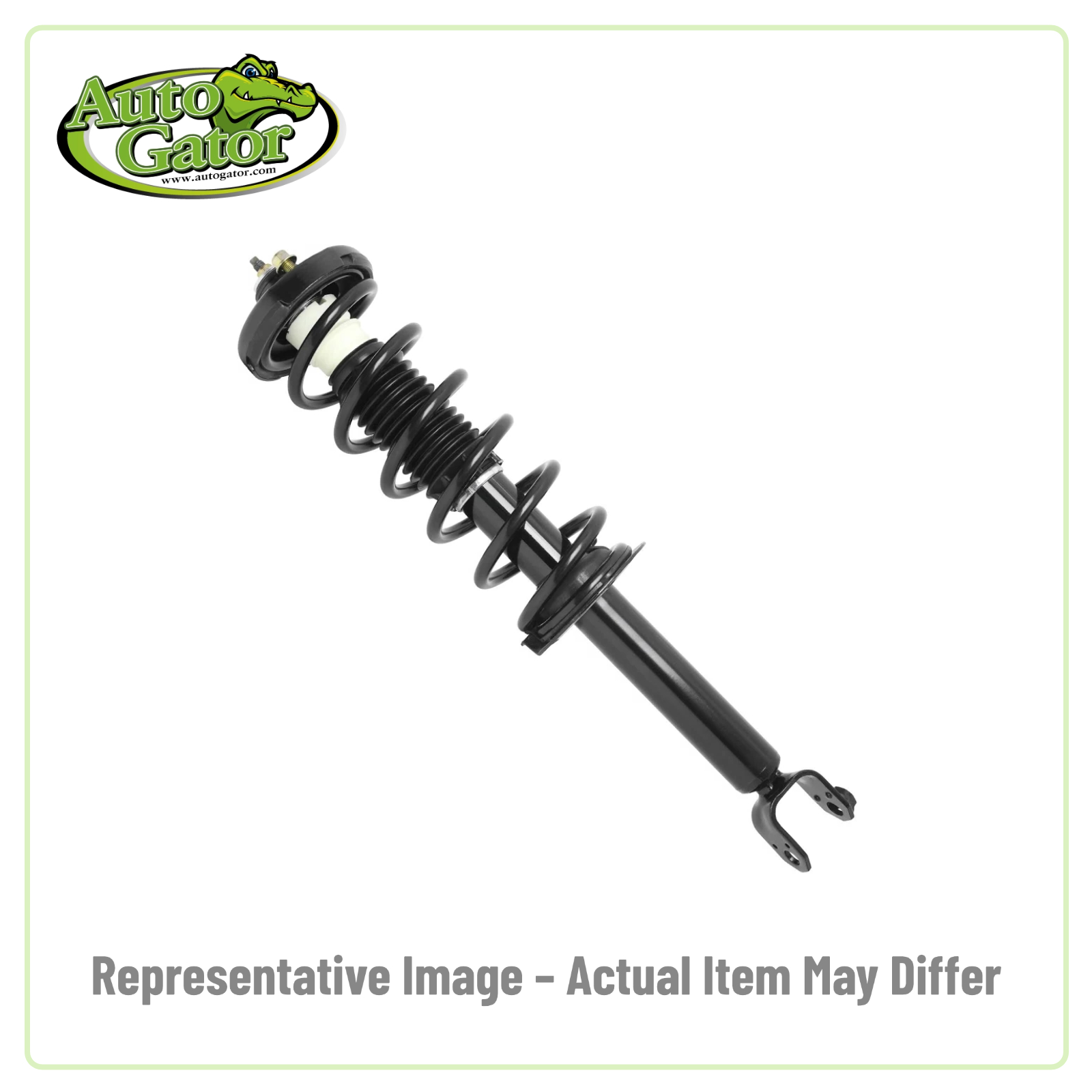 Strut Assembly -- representative image